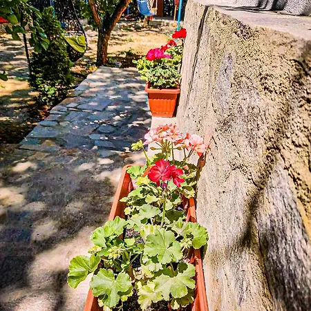 Casa Di Mare - Sauna&jacuzzi Villa *