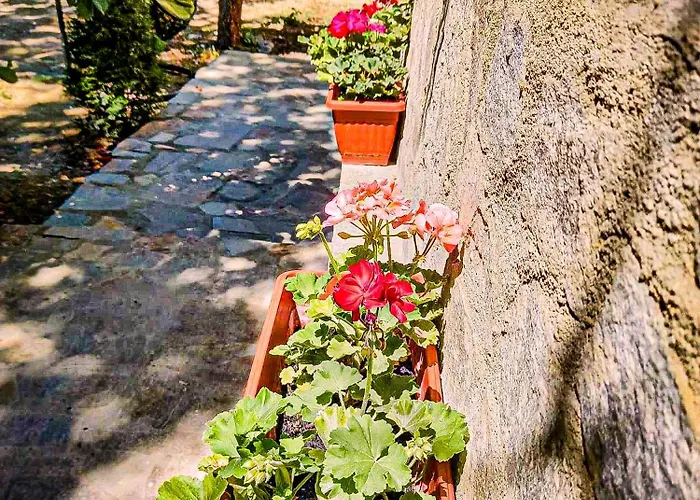 Casa Di Mare - Sauna&jacuzzi Villa *